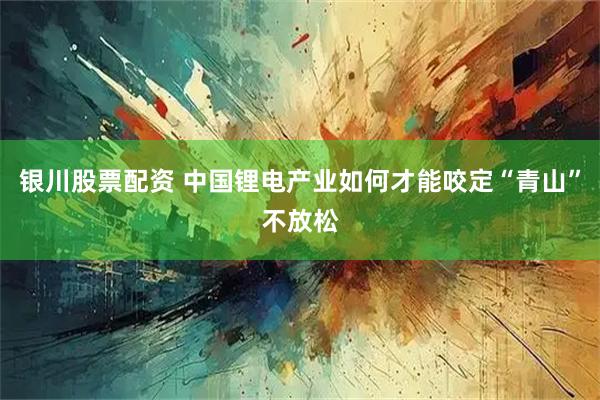 银川股票配资 中国锂电产业如何才能咬定“青山”不放松