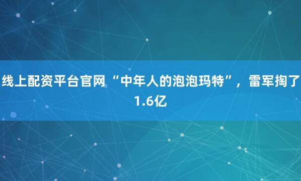 线上配资平台官网 “中年人的泡泡玛特”，雷军掏了1.6亿