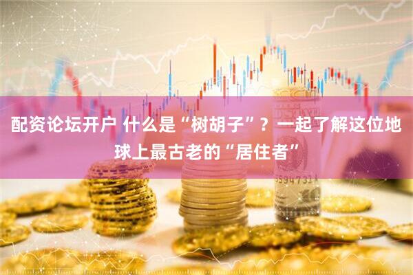 配资论坛开户 什么是“树胡子”？一起了解这位地球上最古老的“居住者”
