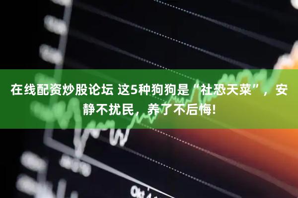 在线配资炒股论坛 这5种狗狗是“社恐天菜”，安静不扰民，养了不后悔!