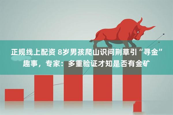 正规线上配资 8岁男孩爬山识问荆草引“寻金”趣事，专家：多重验证才知是否有金矿